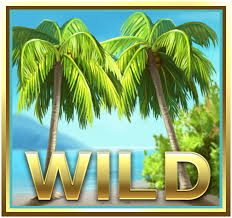 Mega Fortune Dreams wild re-spinn